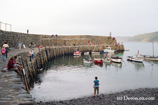 Clovelly harbour 3