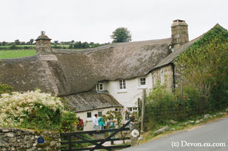 Dartmoor cottage