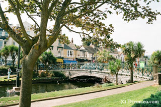 Dawlish park