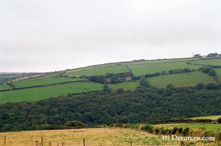 Exmoor view