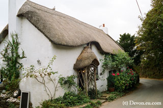 Hope cove cottage