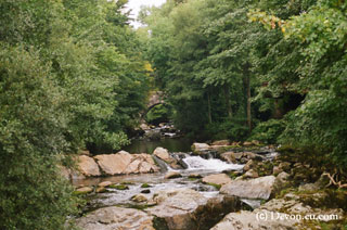 Ivybridge bridge