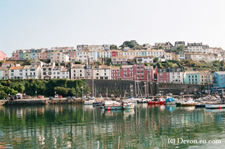 Paignton harbour view