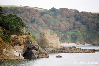 Salcombe fort charles