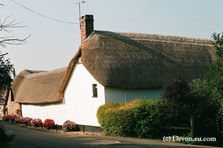Sidmouth cottage